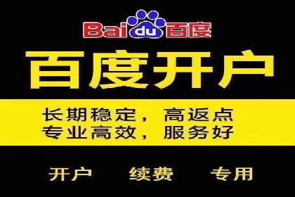 百度推广服务费案例：打造爆款产品营销策略